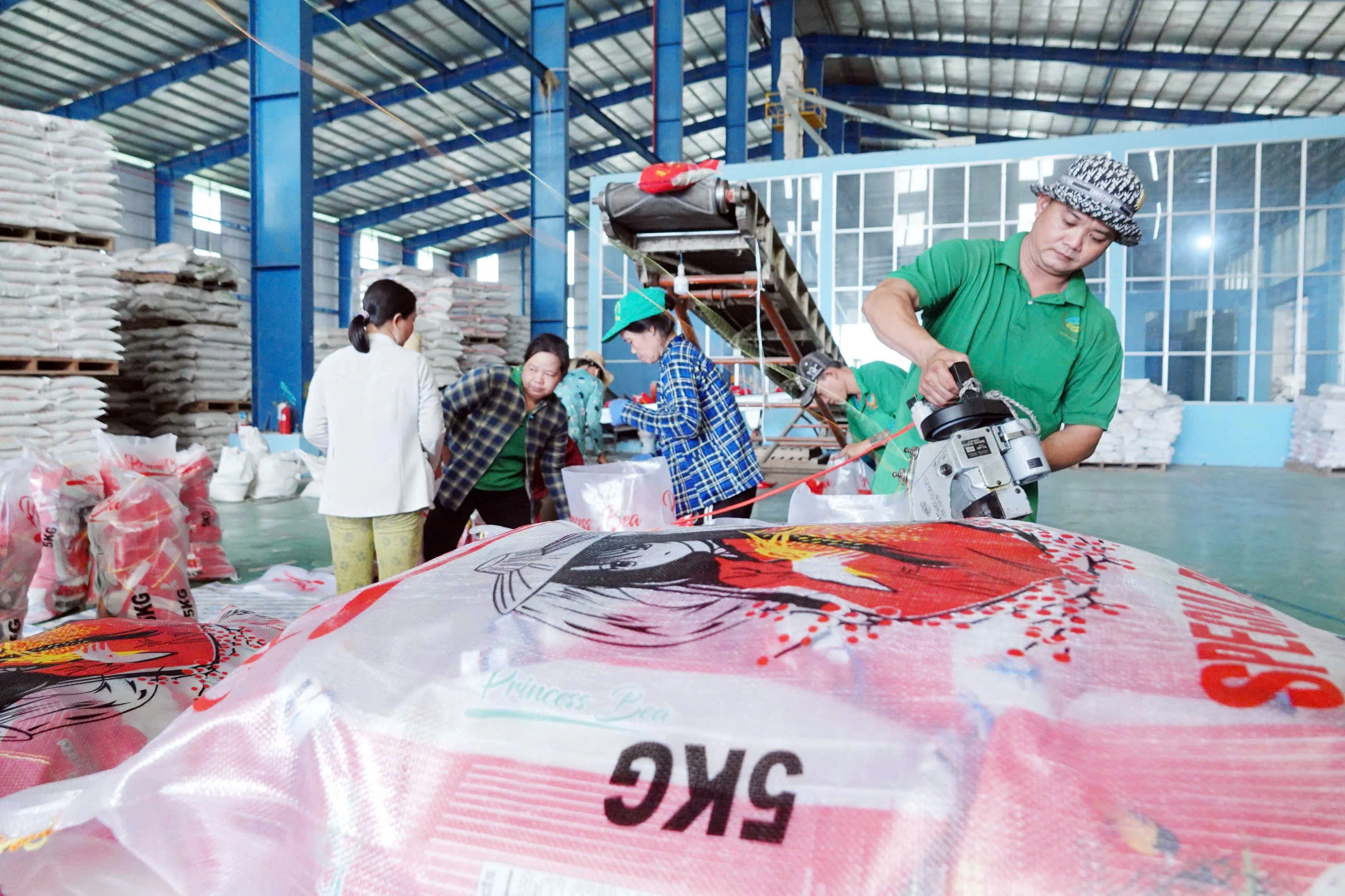 Giá gạo toàn cầu giảm mạnh: Nguyên nhân và tác động - Ảnh 1.