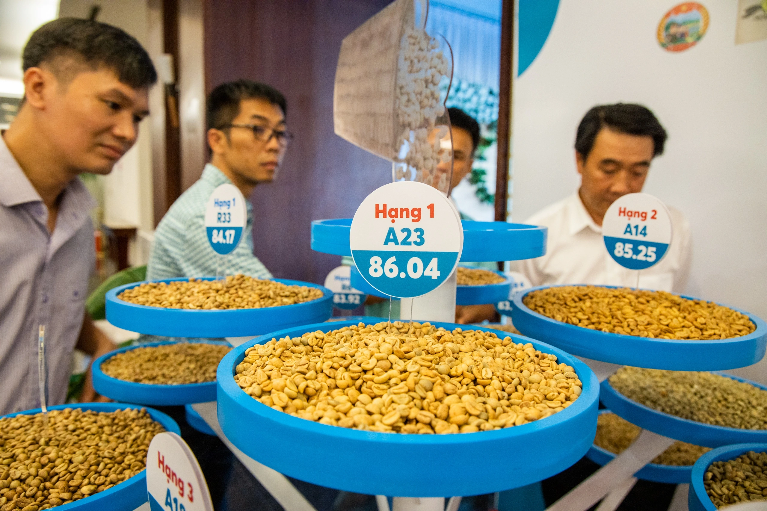 Giá cà phê tăng mạnh trước mùa thu hoạch, nông dân vui mừng - Ảnh 1.