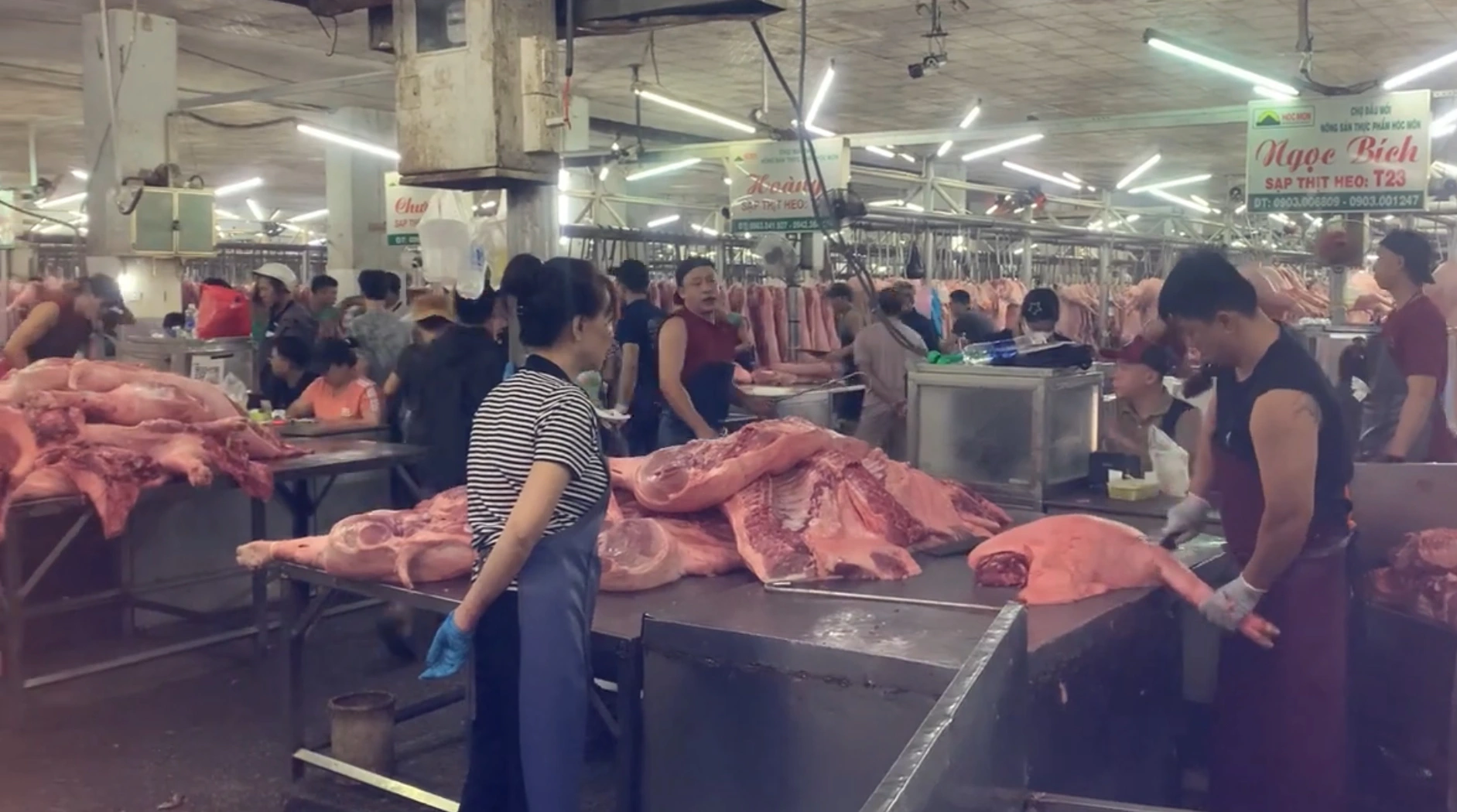 Giá heo hơi hôm nay 18.6.2025: Xu hướng giảm tiếp diễn - Ảnh 1.